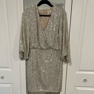 Never worn, beautiful silver sequin dress